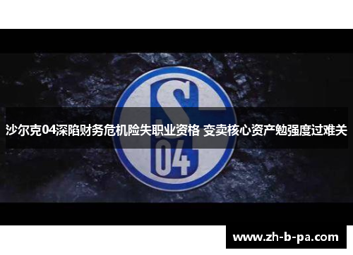 沙尔克04深陷财务危机险失职业资格 变卖核心资产勉强度过难关